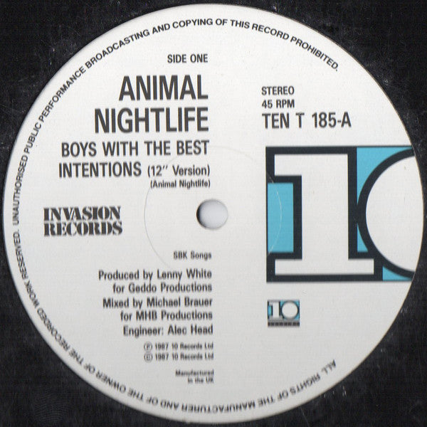 Animal Nightlife : Boys With The Best Intentions (12", Single)