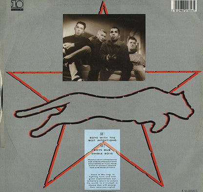Animal Nightlife : Boys With The Best Intentions (12", Single)
