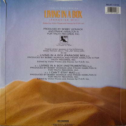 Bobby Womack : Living In A Box (12")